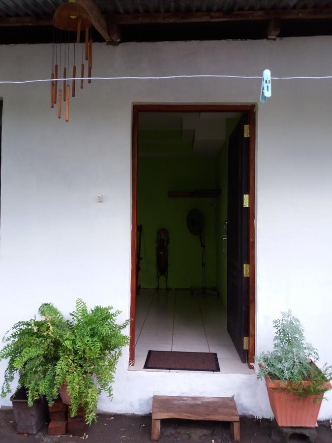 Mi Ranchito Bed & Breakfast Santa Cruz Dış mekan fotoğraf