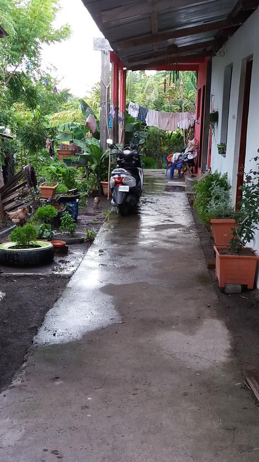 Mi Ranchito Bed & Breakfast Santa Cruz Dış mekan fotoğraf